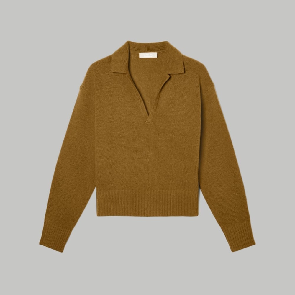 Everlane cashmere polo sweater